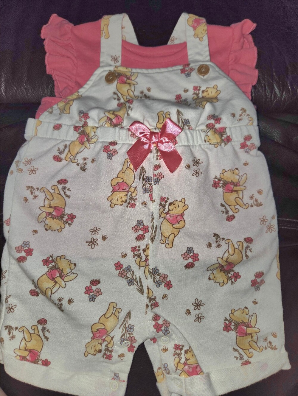Disney 24M Winnie the Pooh Floral Romper 2 Piece